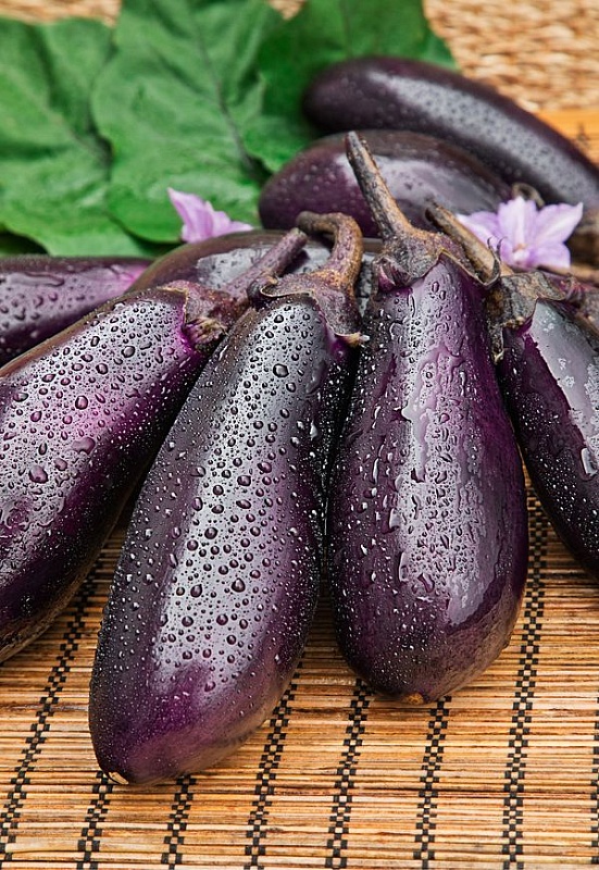 Баклажан Пантера 0,1гр цв.п. (Солнечный десант)