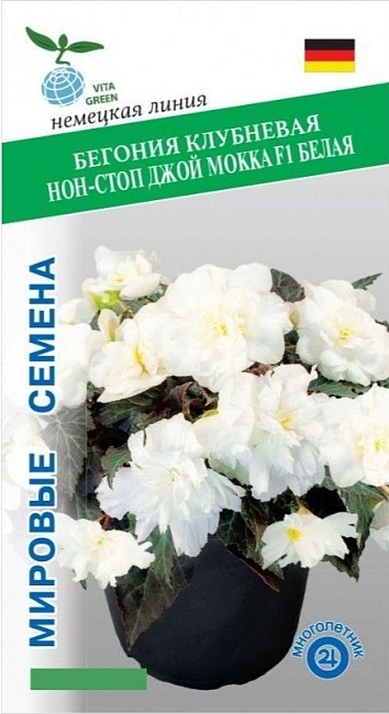 Бегония клубневая Нон-стоп Джой Мокка F1 белая (Benary) 5 шт