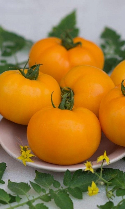 Томат Викинг  (УД) 20 шт цв.п