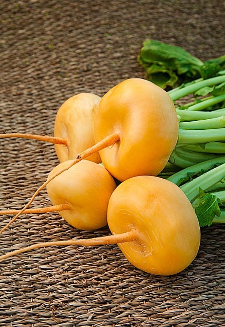 Репа Петровская 1 1 гр цв.п. 