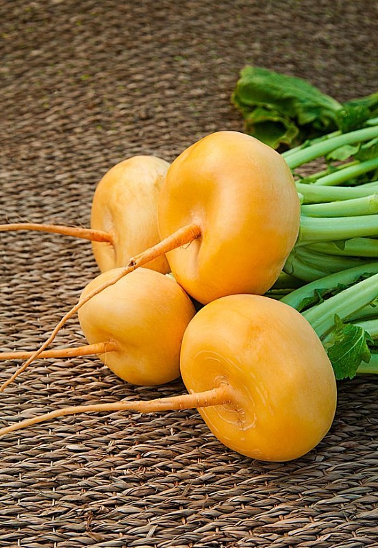 Репа Петровская 1 1 гр цв.п. 