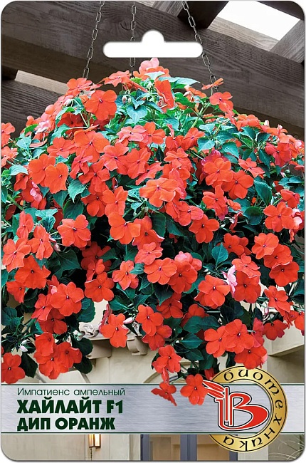 Бальзамин (импатиенс) ампельный Хайлайт F1 Дип Оранж 10 шт