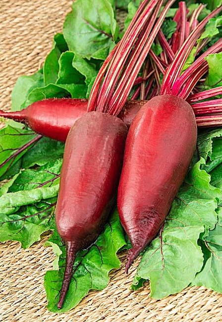 Свекла Нежность 2 гр б.п.