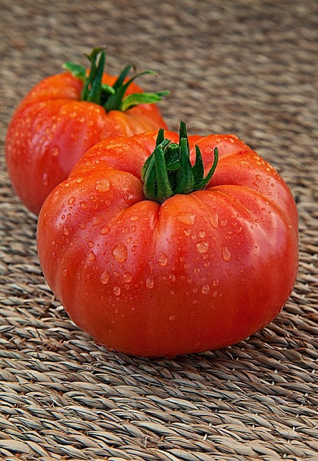 Томат Ленинградский гигант 0,05 гр цв.п