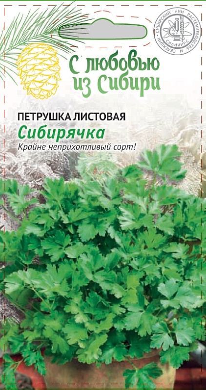 Петрушка листовая Сибирячка 2 гр цв.п. (Сибирская серия)