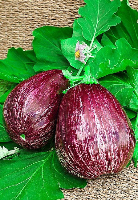 Баклажан Полосатый бок (Селекция "ВХ") 0,1гр.цв.п.