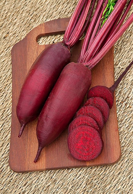 Свекла Цилиндра 2 гр б.п КЭШБЭК 25%