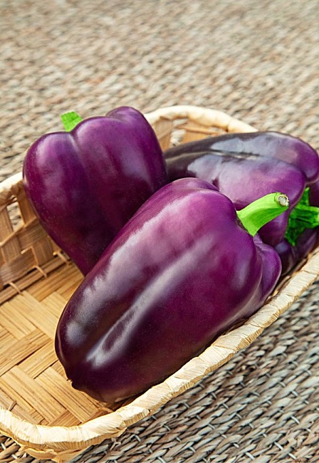 Перец сладкий Мистик  (Селекция "ВХ") 0,1 г цв/п  КЭШБЭК 25%