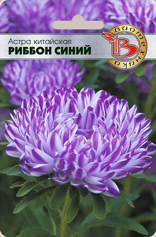 Астра Риббон Блю 30 шт