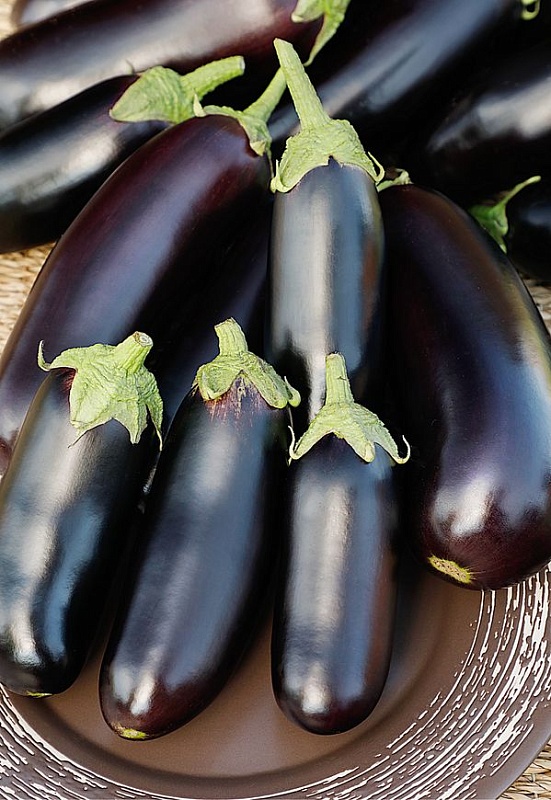 Баклажан Мерлин F1 (Селекция "ВХ") 0,1гр. цв.п.