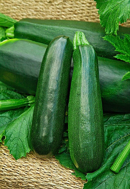 Кабачок Цукини Аэронавт 1 гр цв.п (Био-старт)