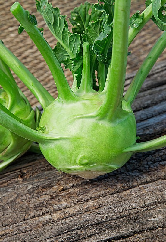 Капуста кольраби Венская белая1350 1 гр цв.п.