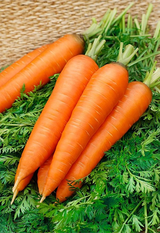 Морковь Ярославна  2 гр б.п.