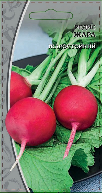 Редис Жара 3 гр цв.п.