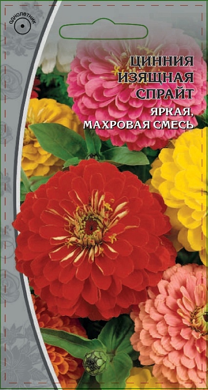 Цинния изящная Спрайт 0,5 гр