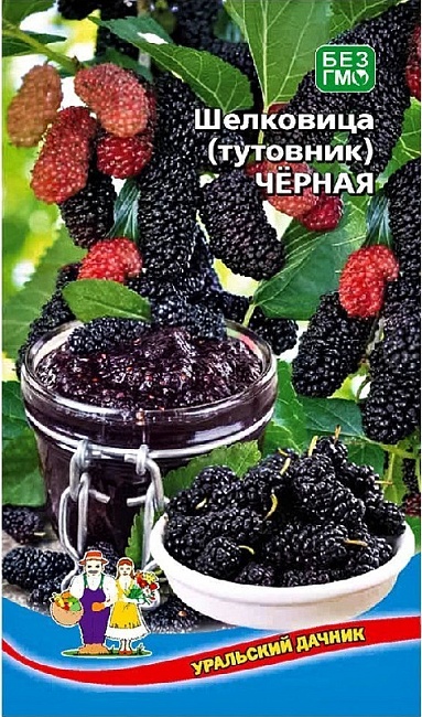 Шелковица(тутовник) Черная (УД) 0,15 гр