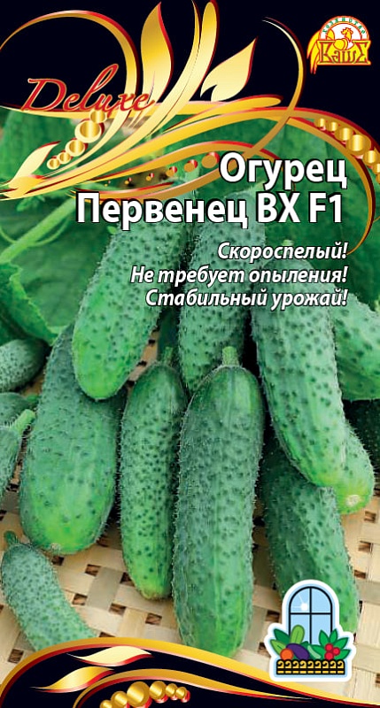 Огурец Первенец ВХ F1 (Селекция "ВХ") 0,25 гр цв.п.