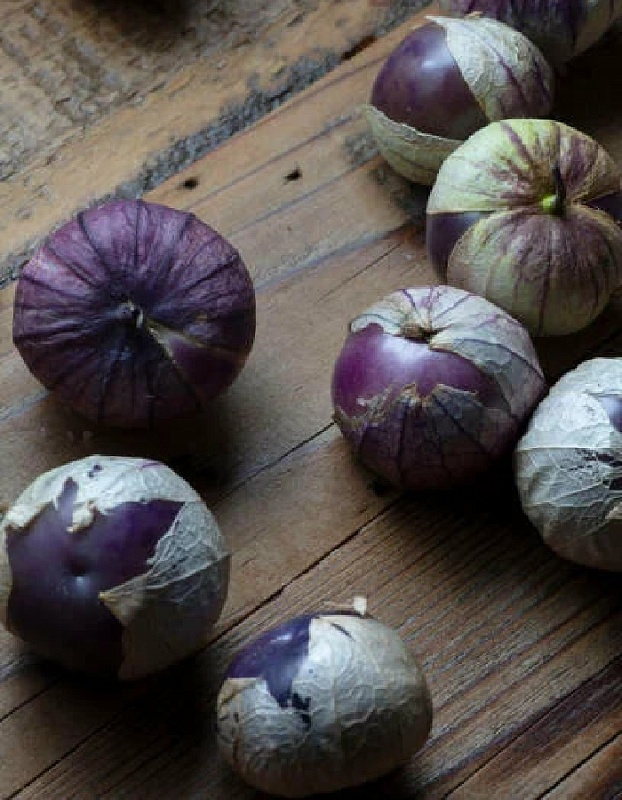 Физалис виноградный Черная изабелла (УД) 12 шт цв п