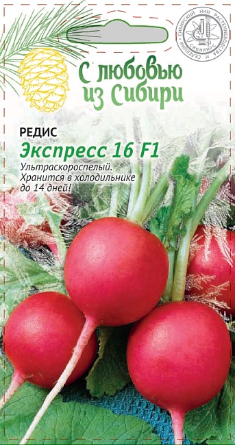 Редис Экспресс 16 F1 2 гр цв.п.(Сибирская серия)