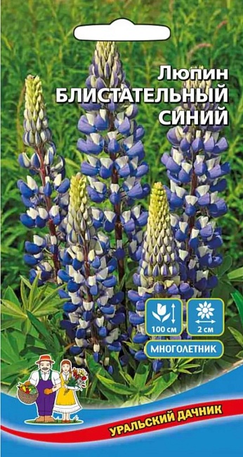 Люпин Блистательный синий (УД) 10 шт цв.п.