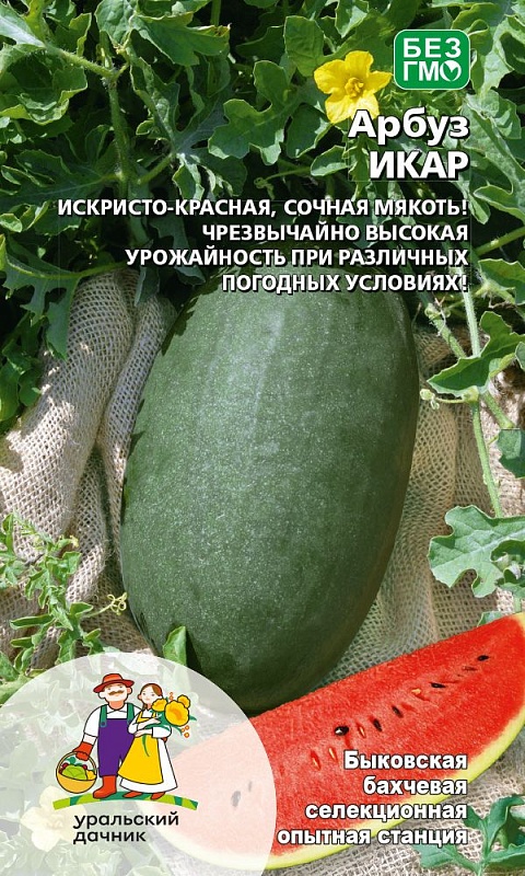 Арбуз Икар (УД) 10 шт цв п