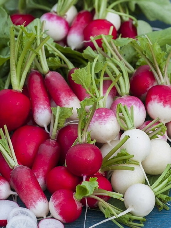 Редис Мульти смесь (УД) 2 гр цв.п.