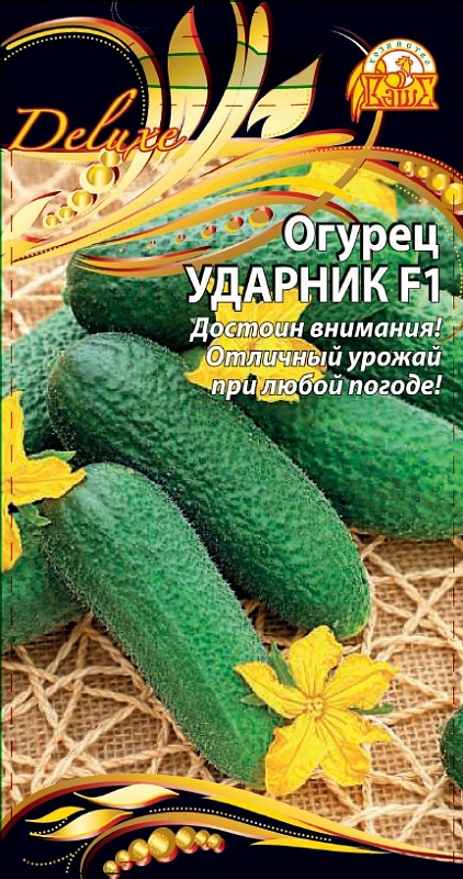 Огурец Ударник F1 (Селекция "ВХ") 0,25 гр цв.п.
