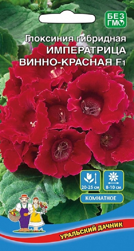 Глоксиния Императрица Винно-красная - гибридная F1 (УД) цв.п 5 шт