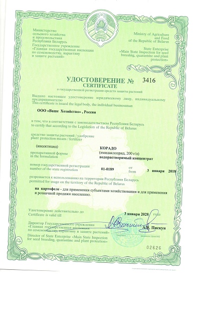Корадо+Панэм, Усиленный эффект