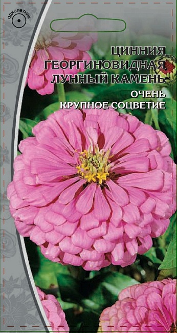 Цинния георгиновидная Лунный камень 0,5 гр