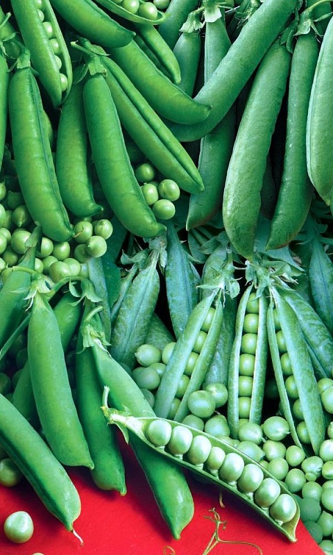 Горох Сахарный деликатес - смесь сладких сортов (УД) 10 гр цв.п.