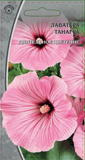 Лаватера Танагра  0,5 гр