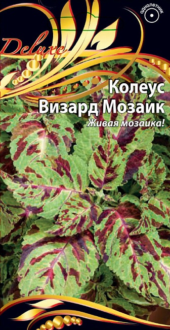 Колеус Визард Мозаик 5 шт