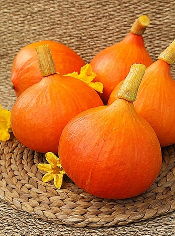 Тыква крупноплодная Японская принцесса (Селекция "ВХ") 2 гр. цв.п.