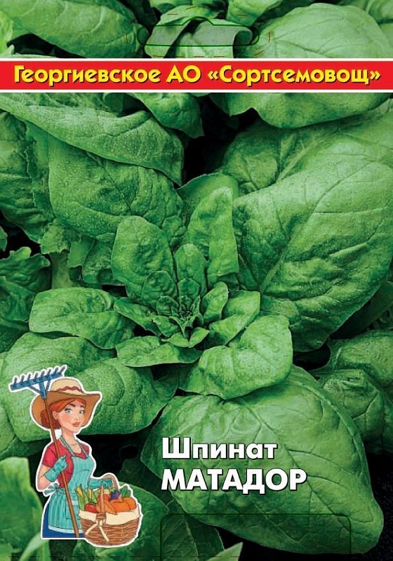 Шпинат Матадор 10 гр цв.п (Сортсемовощ)