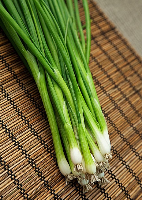 Лук батун Апрельский  0,5 гр  цв.п.