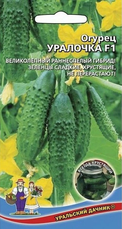 Огурец Уралочка F1 (УД) 10 шт цв.п.