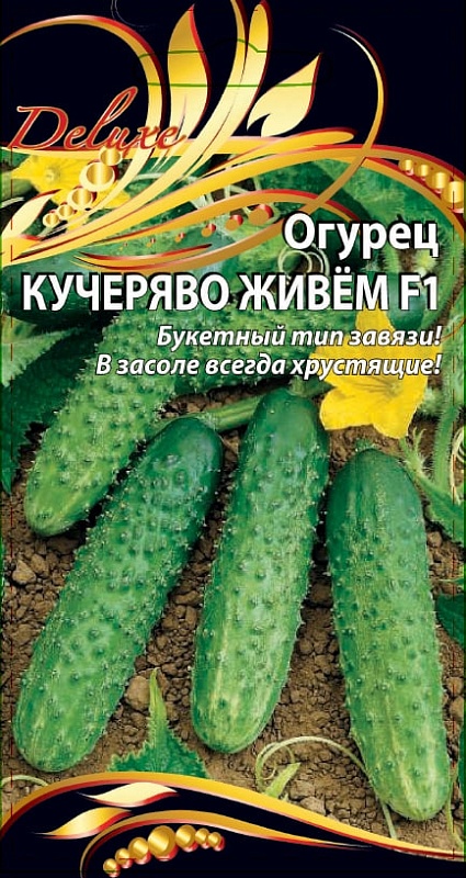 Огурец Кучеряво живем F1 0,25 гр цв.п.