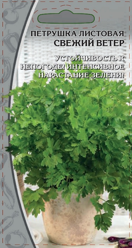 Петрушка листовая Свежий ветер 2 гр цв.п.