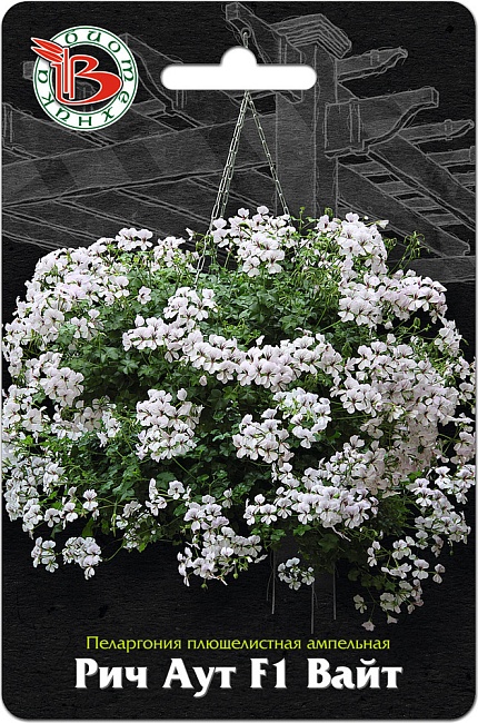Пеларгония плющелистная ампельная Рич Аут F1 Вайт 5 шт