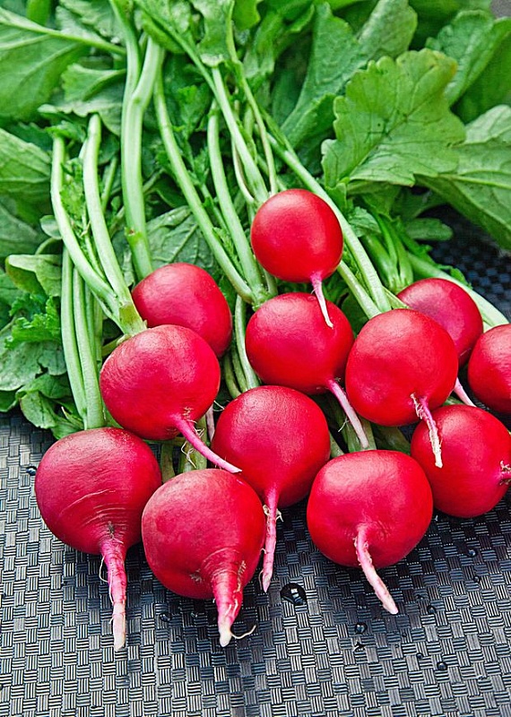 Редис Рубин 3 гр б.п.