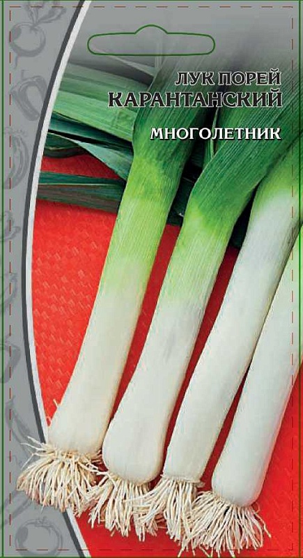 Лук порей Карантанский 0,5 гр цв.п.