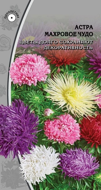 Астра Махровое чудо 0,2 гр цв п