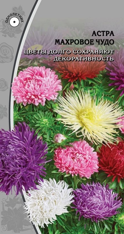 Астра Махровое чудо 0,2 гр цв п