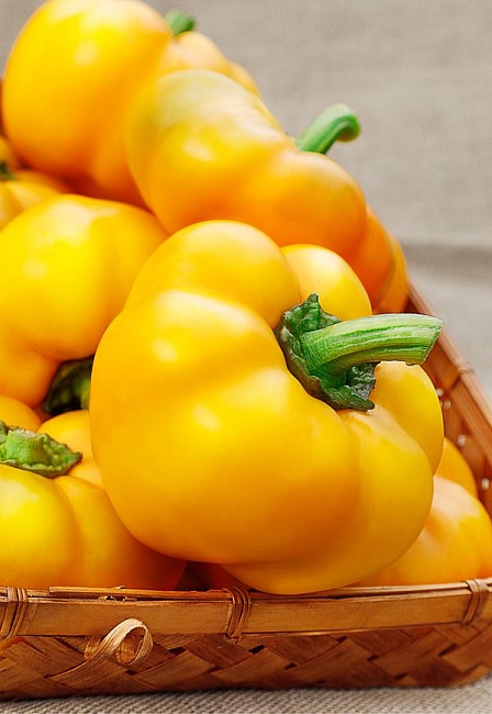 Перец сладкий Золото героя (Селекция "ВХ") 0,1 г цв/п  КЭШБЭК 25%