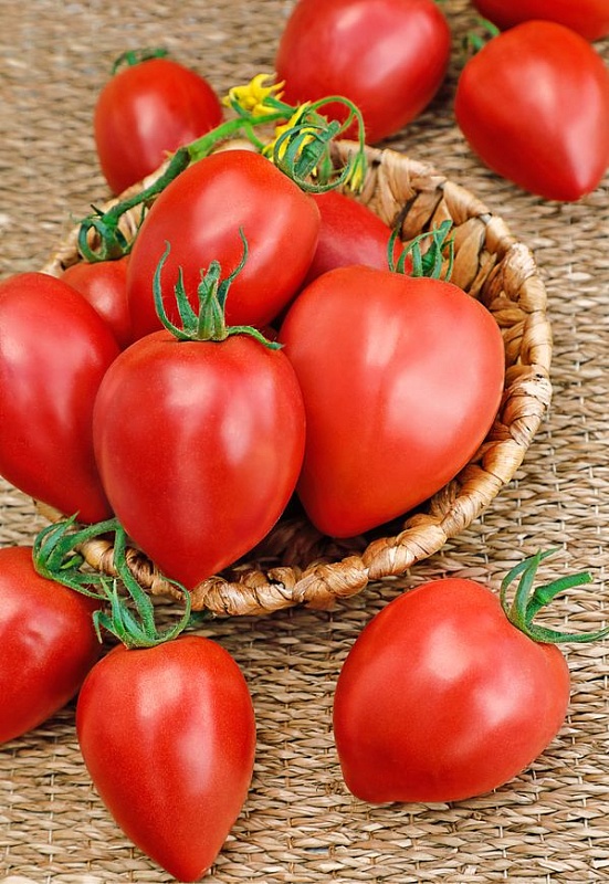 Томат Мон Амур F1 (Селекция "ВХ") 0,05 гр цв.п