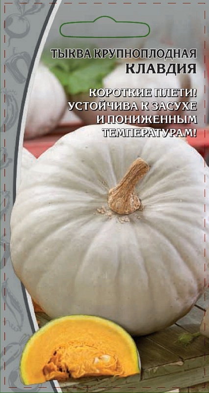 Тыква крупноплодная Клавдия 2 гр цв.п
