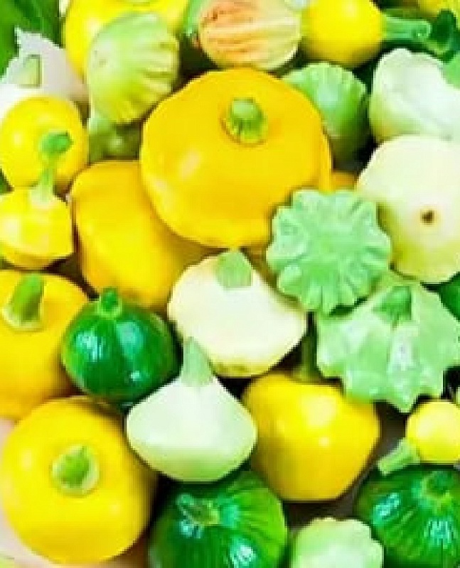 Патиссон Весёлые ребята - смесь сортов (УД) 10 шт цв.п.