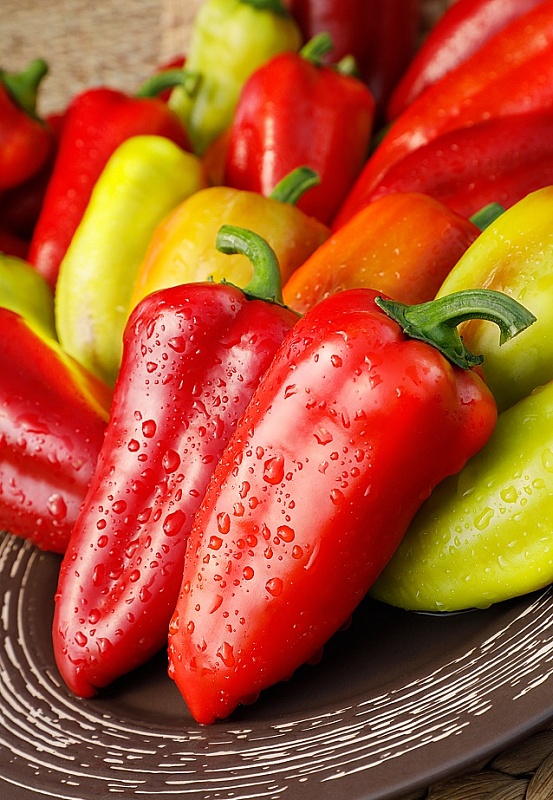 Перец сладкий Подарок Молдовы  0,1 гр цв.п.