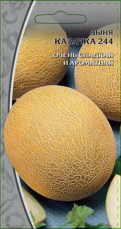 Дыня Казачка 244 1 гр цв.п.